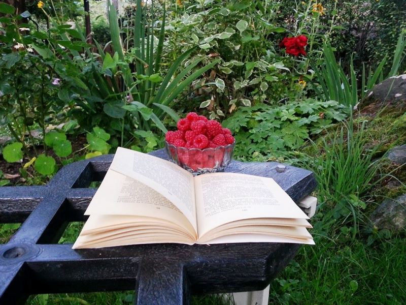 1551568_10204380765582220_8885587722127345670_n