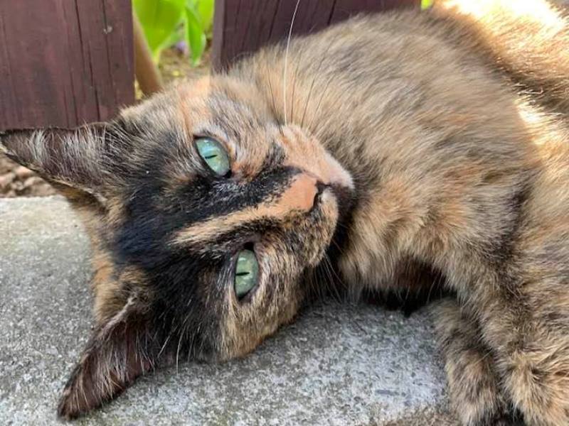 94625397_10222579858348165_3155554348302336000_n