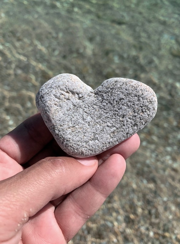 0A0256CC-6FF6-4667-9558-DB8FDFAAFC23