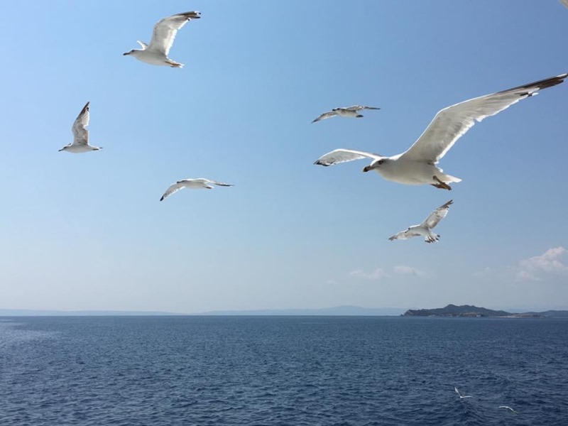 B695D1A1-E253-4967-9DD7-D079E1336457