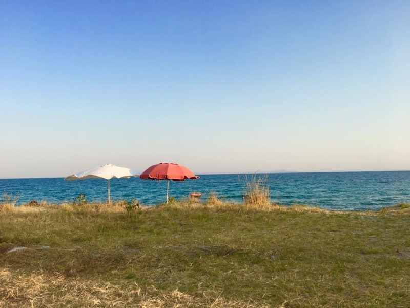 D07F216A-020F-4A22-99B2-463325B62001