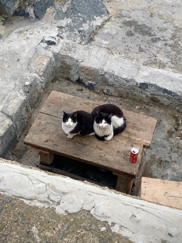 54D39A07-8A06-45BC-8128-33BEC313819C